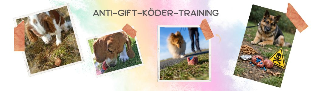 Anti-Gift-Köder-Training