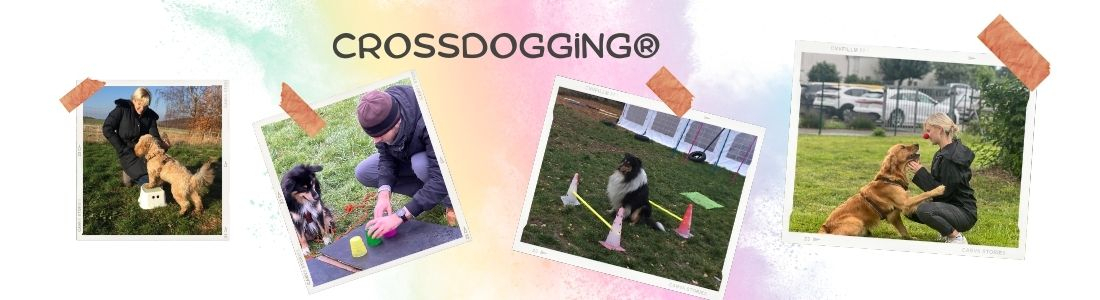 Crossdogging® Einsteiger
