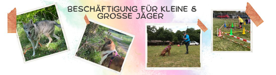 Beschäftigung für kleine und grosse Jäger