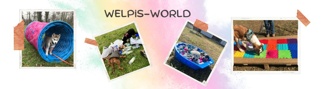 Welpis-World