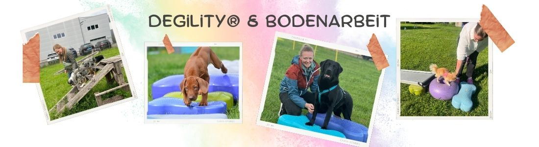 Degility® & Bodenarbeit