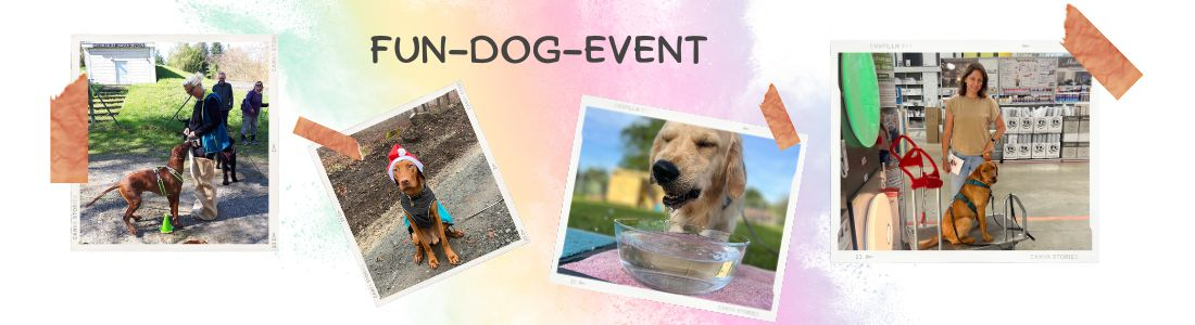Fun-Dog-Event