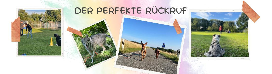Der perfekte Rückruf