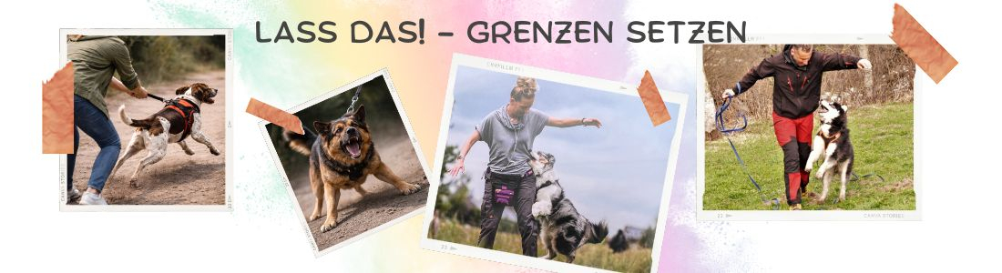 Lass das! - Hunden freundlich Grenzen setzen