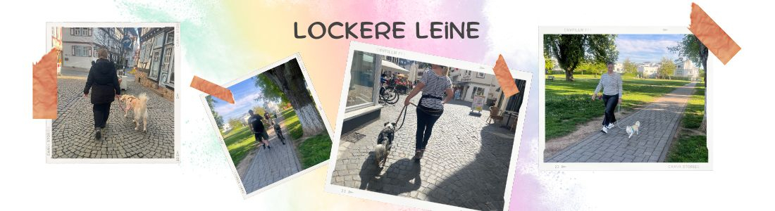 Intensivkurs Leinenführigkeit