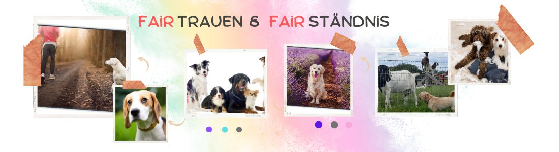 FAIRständnis & FAIRtrauen