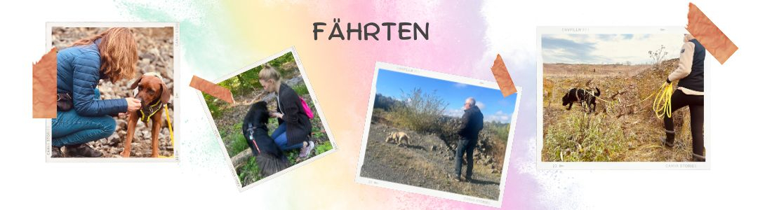 Fährten