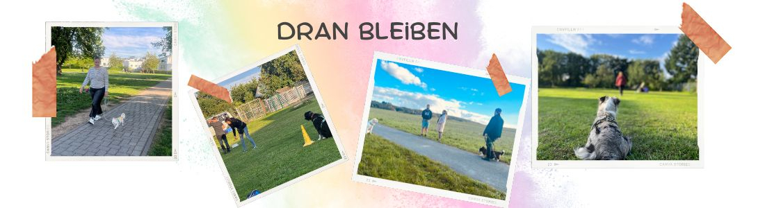 Dran bleiben