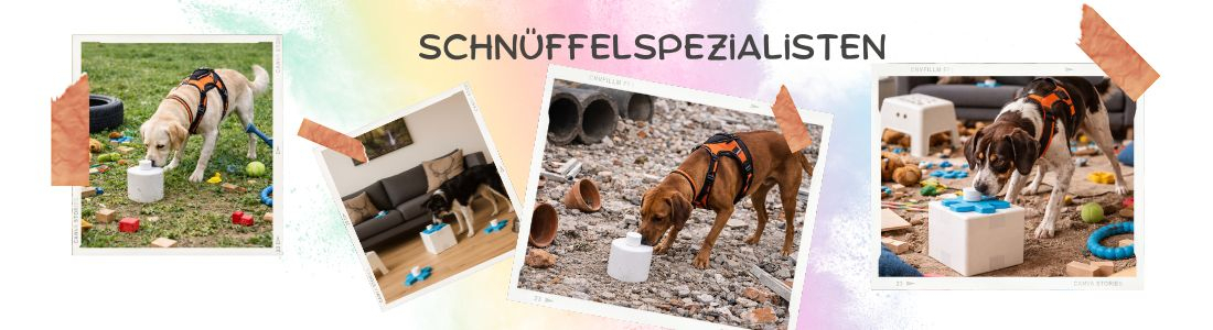 Schnüffelspezialisten